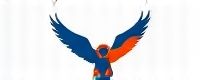 hawkplay